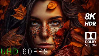 Autumn 8K HDR 60FPS Dolby Vision