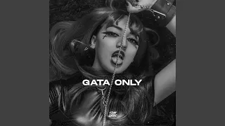 Gata Only (Slowed + Reverb)