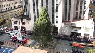 Rockefeller Center Christmas Tree Timelapse 2018