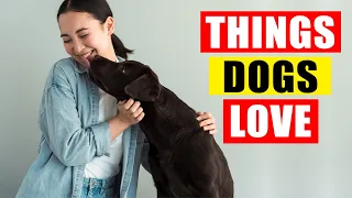 Dogs' Most Favorite Things, According to Science