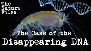 The Nature Files (Ep. 2): The Case of the Disappearing DNA