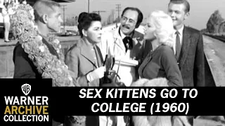Preview Clip | Sex Kittens go to College | Warner Archive