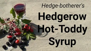 Hedgerow Hot Toddy Syrup