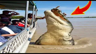 Sabse Bade Janwar- Part 3 | Biggest Animals ever Caught on Camera | Abnormally Large Giant Animals