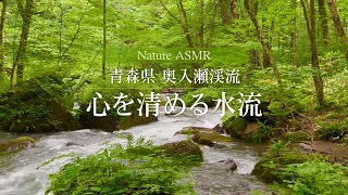 ASMR Nature Meditation Sound - Oirase Stream - Nature Mindfulness (No Loop)