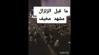 حيوانات تستشعر حدوث الزلازل سبحان الله 😱🐈🐕