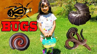 Zoe Finding Bugs Outside Real Bug Hunt In The Summer Pretend Play With Insects!