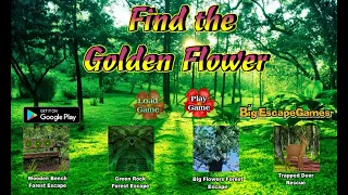 Big Find The Golden Flower Walkthrough [BigEscapeGames]
