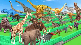 TODAYS ANIMALS VS DINOSAUR DEATHRUN The Toughest of All ARK & REAL LIFE Animal Revolt Battle Simulat