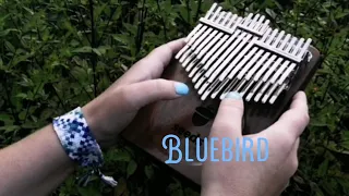 [Chromatic Kalimba cover] Bluebird — Alexis Ffrench | хроматическая калимба Seeds