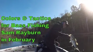 Sam Rayburn Colors and Tactics for February Bass Fishing