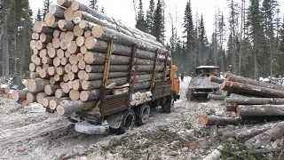 Трелевочник на пне. Опять ремонты (куда без них)!