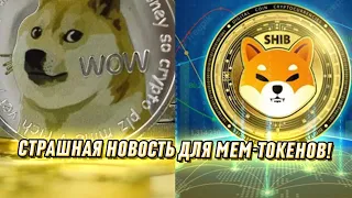 Срочно избавляйтесь! Страшная новость для Dogecoin и Shiba Inu - предупредили всех. Маск не спасёт!