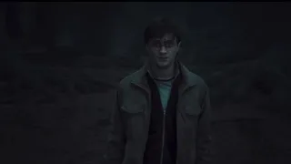 Harry Potter Vs Voldemort - Toxic