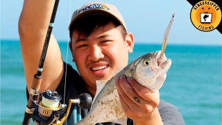 Beginner Beach Fishing Tips: Using Plugs and Lures