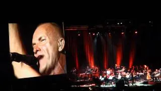 Sting - Desert Rose (live in Moscow)