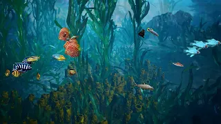 Relaxing Dream Aquarium Fish Tank with Only Water Sounds | Great Screen Saver | 3 Hours