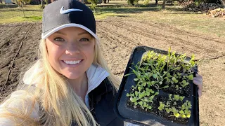 Let's Get These Seedlings in the Ground!! 🌱🌱🌱 :: Planting Up My Flower Field! :: Cool Flowers