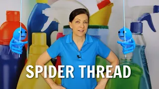 The Spider Thread And How Clutter Blindness is Causing You Stress