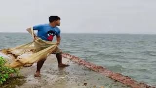 Unbelievable Fish Ever Caught in a Cast Net - Best cast net fishing