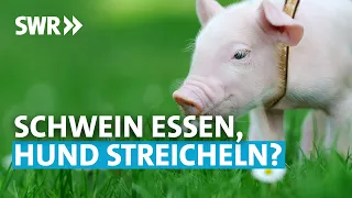 Haustier, Nutztier: Wo liegt der Unterschied? | SWR Wissen