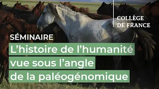 L'histoire de l'humanité vue sous l'angle de la paléogénomique (6) - L. Quintana-Murci (2022-2023)