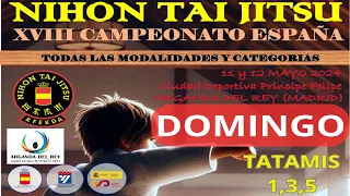 XVIII CAMPEONATO DE ESPAÑA NIHON TAI-JITSU. Jornada de domingo, tatamis 1,3.