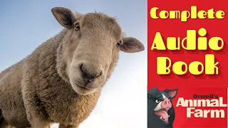 Animal Farm by George Orwell (Full Audiobook)