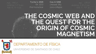 Webinar  Prof. Franco Vazza - The cosmic web and the quest for the origin of cosmic magnetism