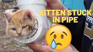 Firefighters Rescue Kitten Stuck In Pipe (Cat Saving Story)