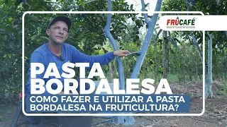 Como Fazer e Utilizar a Pasta Bordalesa na Fruticultura?