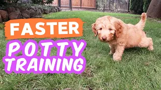 6 Potty Training Secrets NOBODY Shares 🐶 Seriously try these with your puppy!!!