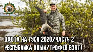 Охота на гуся 2020 в Республике Коми/Часть 2/Первые трофеи