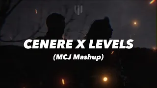 CENERE X LEVELS (Lazza, Avicii) [Mattia Cipriani Mashup]