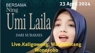 #Live PENGAJIAN  AKBAR NING UMI LAILA DIDESA KALIGOWONG KEC.WADASLINTANG  KAB.WONOSOBO 23APRIL 2024