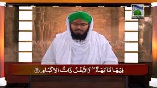 Heart Trembling Quran Recitation - Surah Rehman 1 to 25 Verses