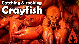 Catching and cooking crayfish!