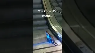 Кот в метро