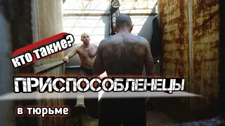 ПРИСПОСОБЛЕНЦЫ