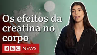 Creatina: os efeitos reais do suplemento na performance e na saúde