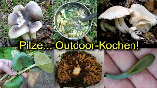09.09.2023 Pilze, Outdoor-Kochen und 2 Raritäten!