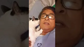 NURSING FATHER TO HIS LOVELY CAT