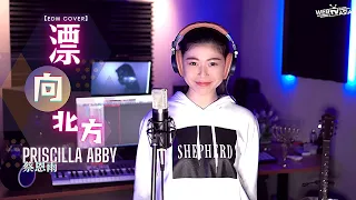 黃明志Namewee feat. 王力宏 Leehom [ 漂向北方 ] EDM Cover ( 蔡恩雨 Priscilla Abby )