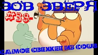 лучшее из COUB март 2016 (ЗОВ ЗВЕРЯ) #39