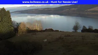 Loch Ness Monster Live Cam by Nessie on the Net!