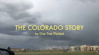 Earth Day 2019: Planting Trees in Colorado | One Tree Planted