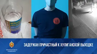 Задержан причастный к хулиганской выходке