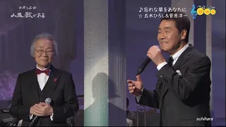 2022 SCR ♪ 忘れな草をあなたに　☆ 五木ひろし＆菅原洋一 ◇ 160302