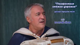 Песня под баян от ВАЛЕРИЯ СЁМИНА "Позарастали стёжки-дорожки" ❤️ Страстно и красиво!