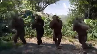 Harambe's Funeral but the Monkes dance to Huawai Ringtone instead
